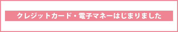 クレジットカード・電子マネーはじまりました